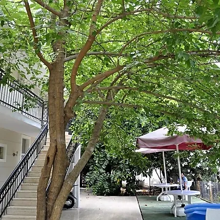 Park 3*