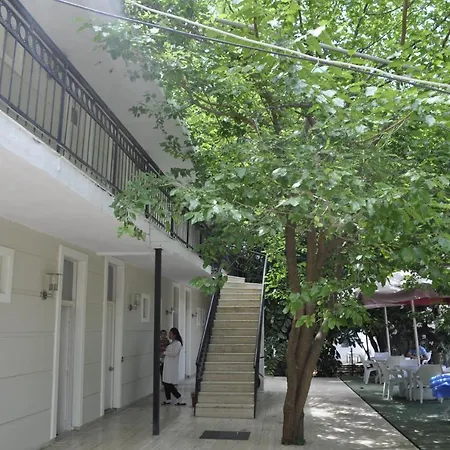Park Hotel 3*